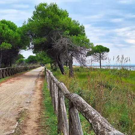 Experience The Breeze In Our Bright Flat * Bibione