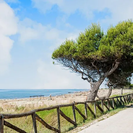 Experience The Breeze In Our Bright Flat Appartement