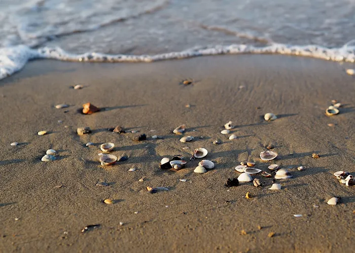 Experience The Breeze In Our Bright Flat Apartment Bibione